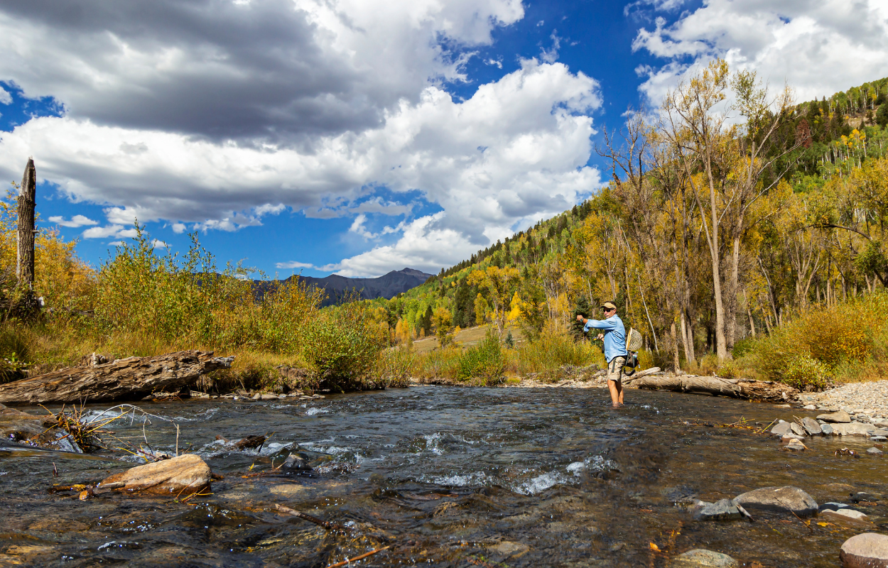 angler stands in the taylor river in colorado while fly fishing