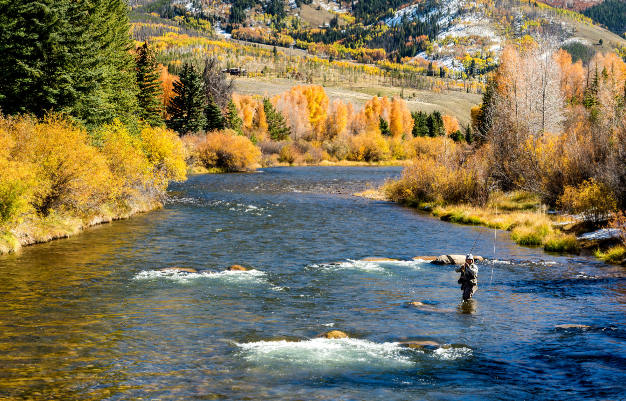 angler stands in a river with yellow trees on banks