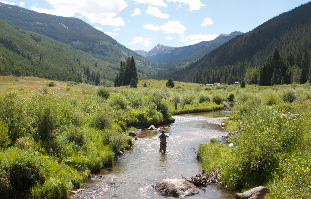 angler stands in small stream with green grassy banks and mountains in the background