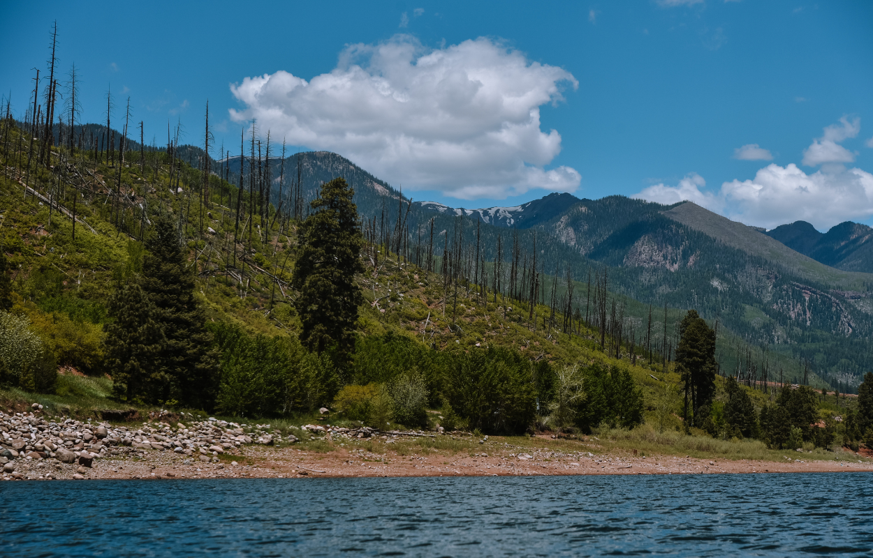 vallecito reservoir in colorado